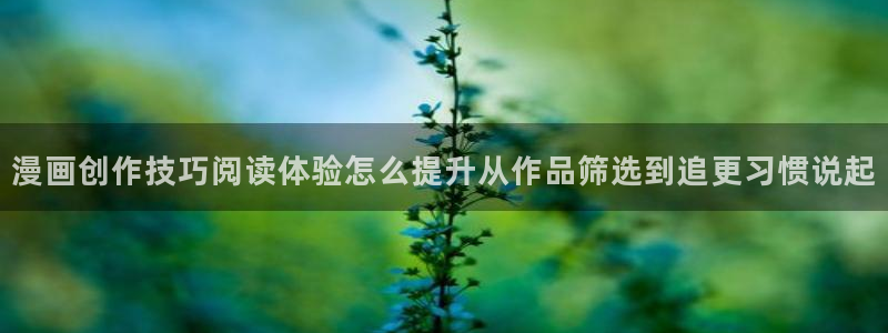 梦漫漫画漫画新作:漫画创作技巧阅读体验怎么提升从作品筛选到追更习惯说起