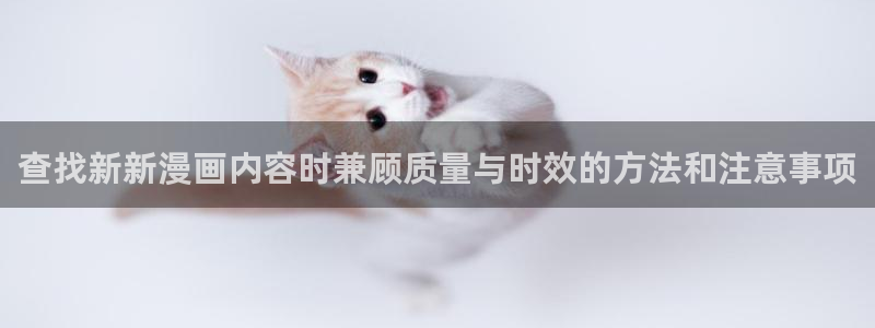 梦漫漫画漫画专题:查找新新漫画内容时兼顾质量与时效的方法和注意事项